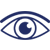 Vision